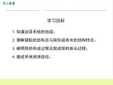 人教版生物七年级下册5.1人体内废物的排出课件PPT