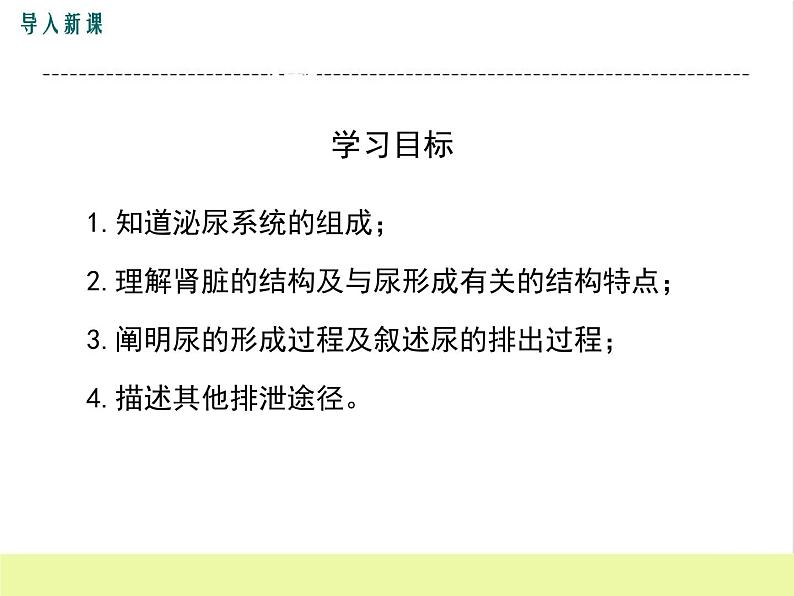 人教版生物七年级下册5.1人体内废物的排出课件PPT第3页