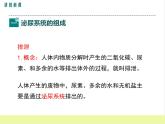 人教版生物七年级下册5.1人体内废物的排出课件PPT