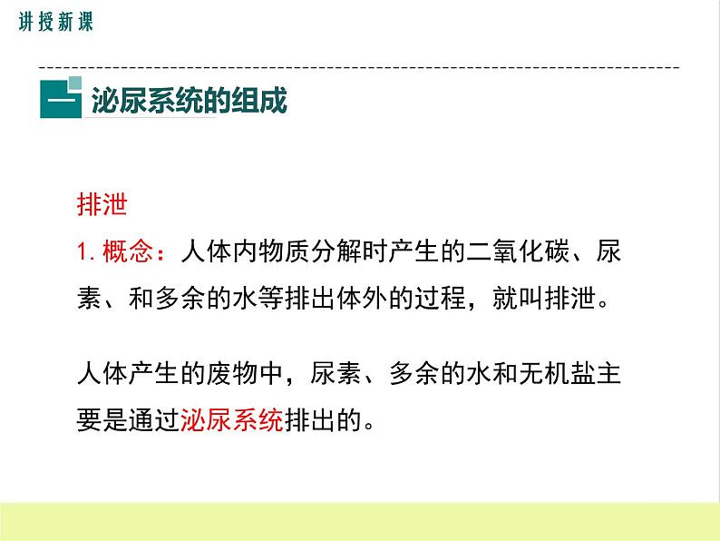 人教版生物七年级下册5.1人体内废物的排出课件PPT第4页