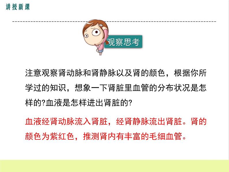 人教版生物七年级下册5.1人体内废物的排出课件PPT第6页