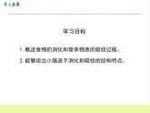 人教版生物七年级下册2.2.2食物的消化过程和营养物质的吸收课件PPT