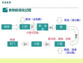 人教版生物七年级下册2.2.2食物的消化过程和营养物质的吸收课件PPT