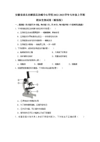 安徽省淮北市濉溪县孙疃中心学校2022-2023学年七年级上学期期末生物试卷（含答案）