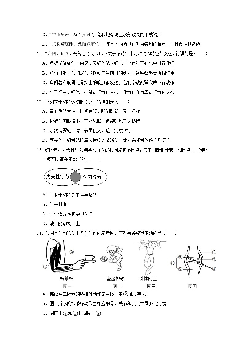 河南省济源市梨林三中等2校2022-2023学年八年级上学期期末生物试题（含答案）第3页