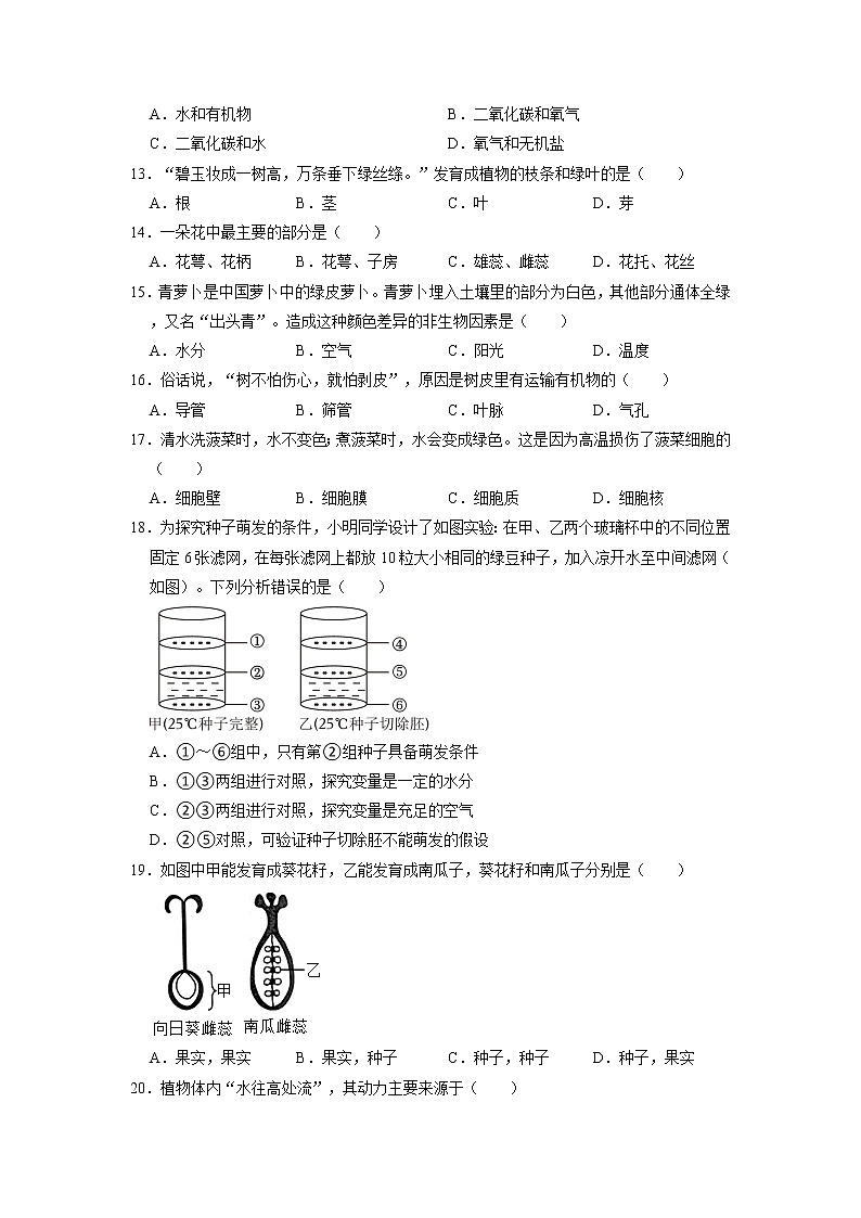 福建省泉州市丰泽区2022-2023学年七年级上学期期末生物试卷02