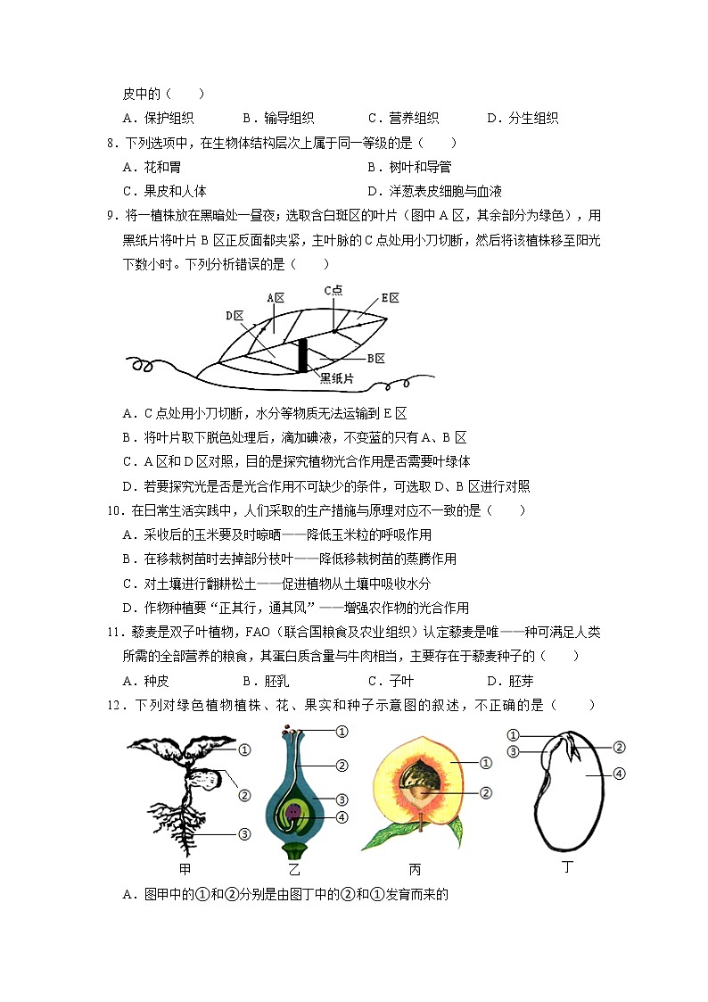 广东省揭阳市揭东区2022-2023学年九年级上学期期末生物试卷02
