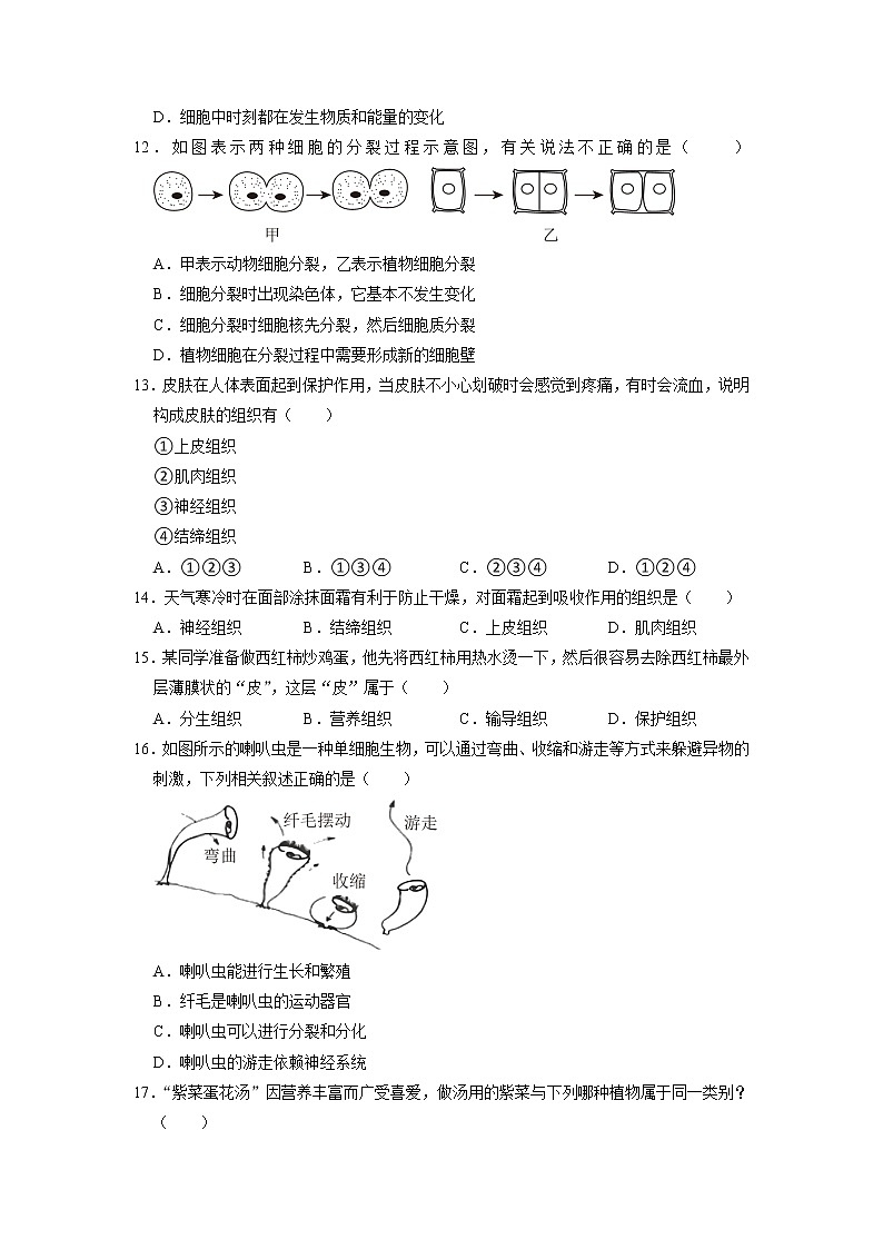 广东省深圳市盐田区2022-2023学年七年级上学期期末生物试卷第3页