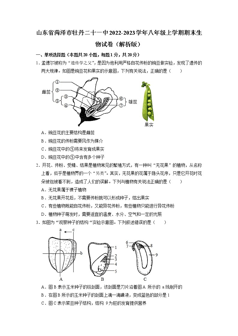 山东省菏泽市牡丹区二十一中2022-2023学年八年级上学期期末生物试卷01