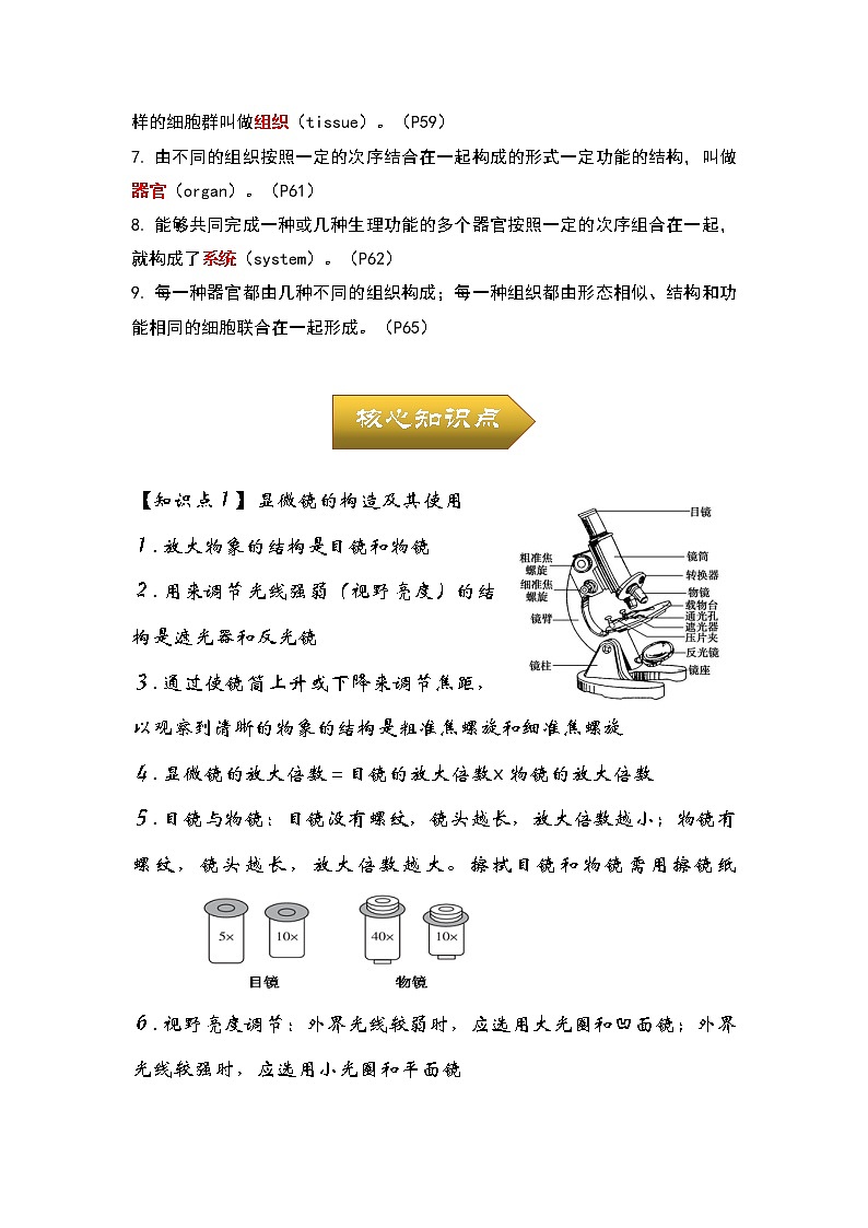 专题02 生物体的结构层次——2023年中考生物必背知识点梳理+思维导图第2页