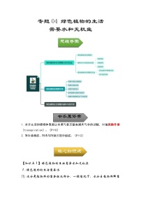 专题04 绿色植物的生活需要水和无机盐——2023年中考生物必背知识点梳理+思维导图