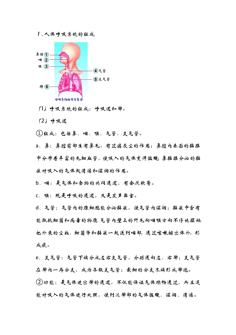 专题08 人体的呼吸——2023年中考生物必背知识点梳理+思维导图第2页