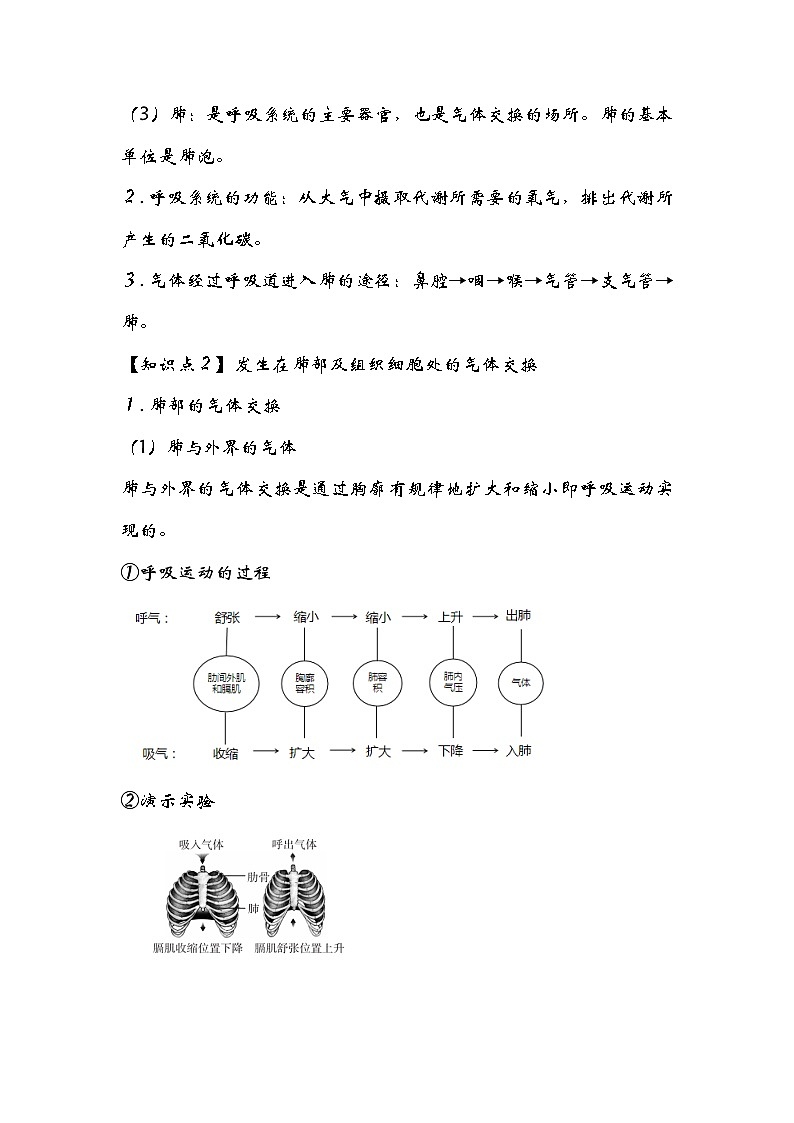 专题08 人体的呼吸——2023年中考生物必背知识点梳理+思维导图第3页