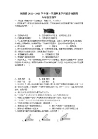 河南省洛阳市汝阳县2022-2023学年八年级上学期期末生物试题