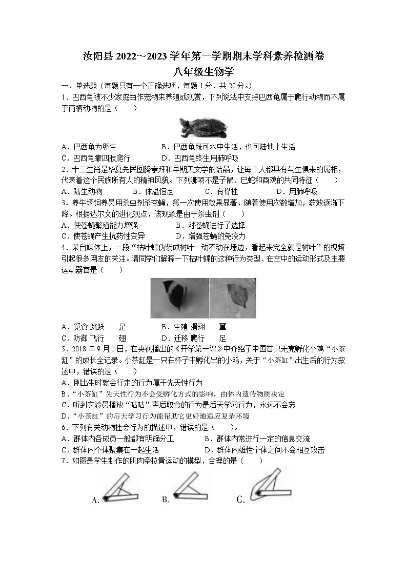 河南省洛阳市汝阳县2022-2023学年八年级上学期期末生物试题01