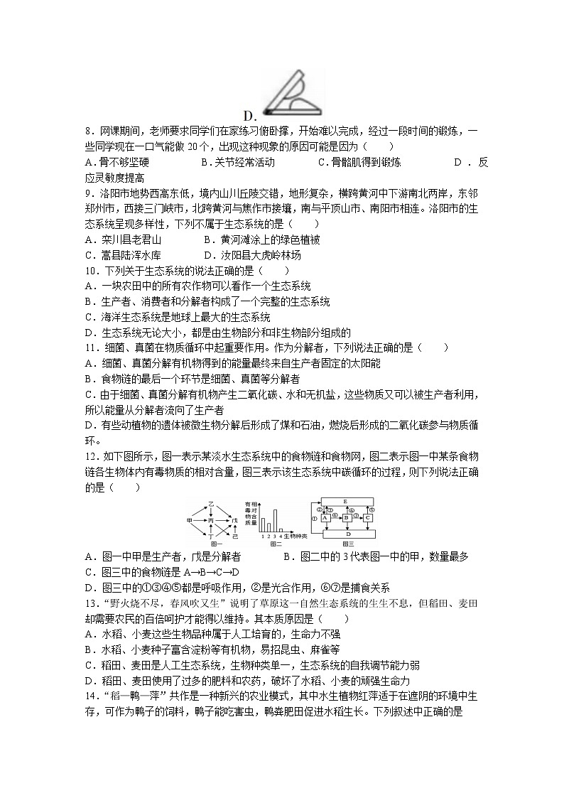 河南省洛阳市汝阳县2022-2023学年八年级上学期期末生物试题02