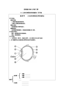 济南版七年级下册第四节 人体对周围世界的感知学案