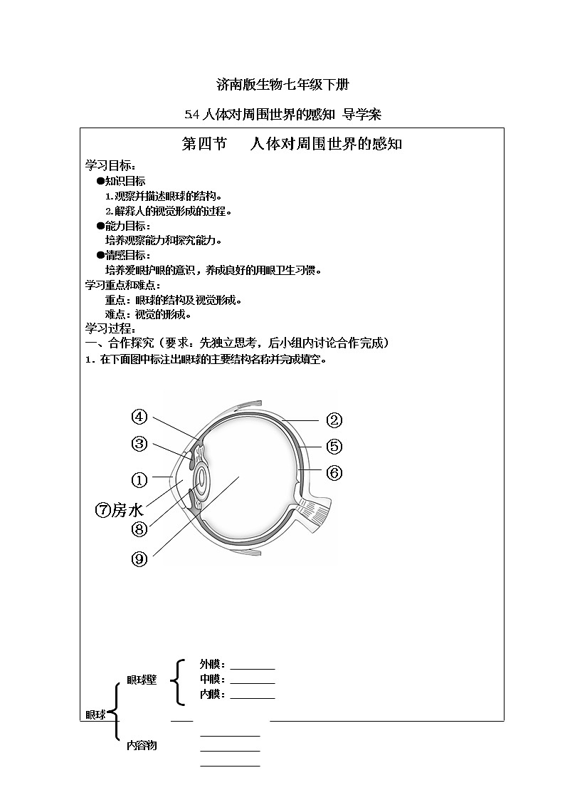 济南版生物七年级下册 5.4人体对周围世界的感知 导学案第1页