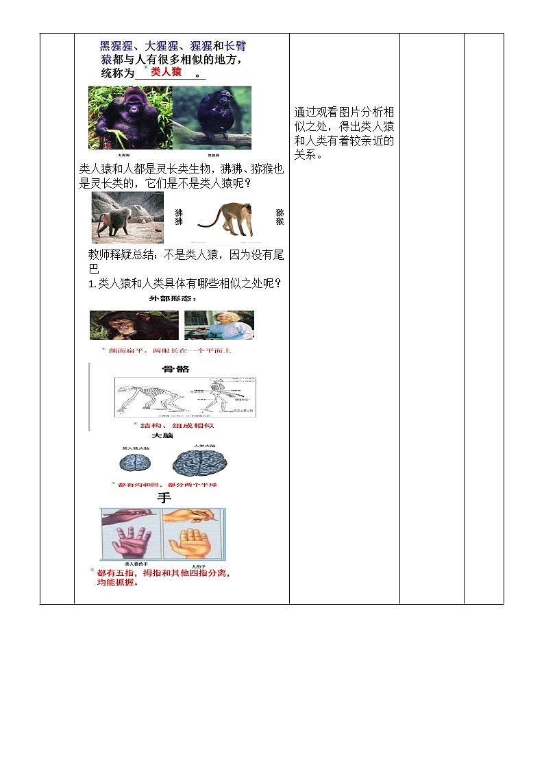 济南版生物八下 5.2.1 人类的起源 教案03