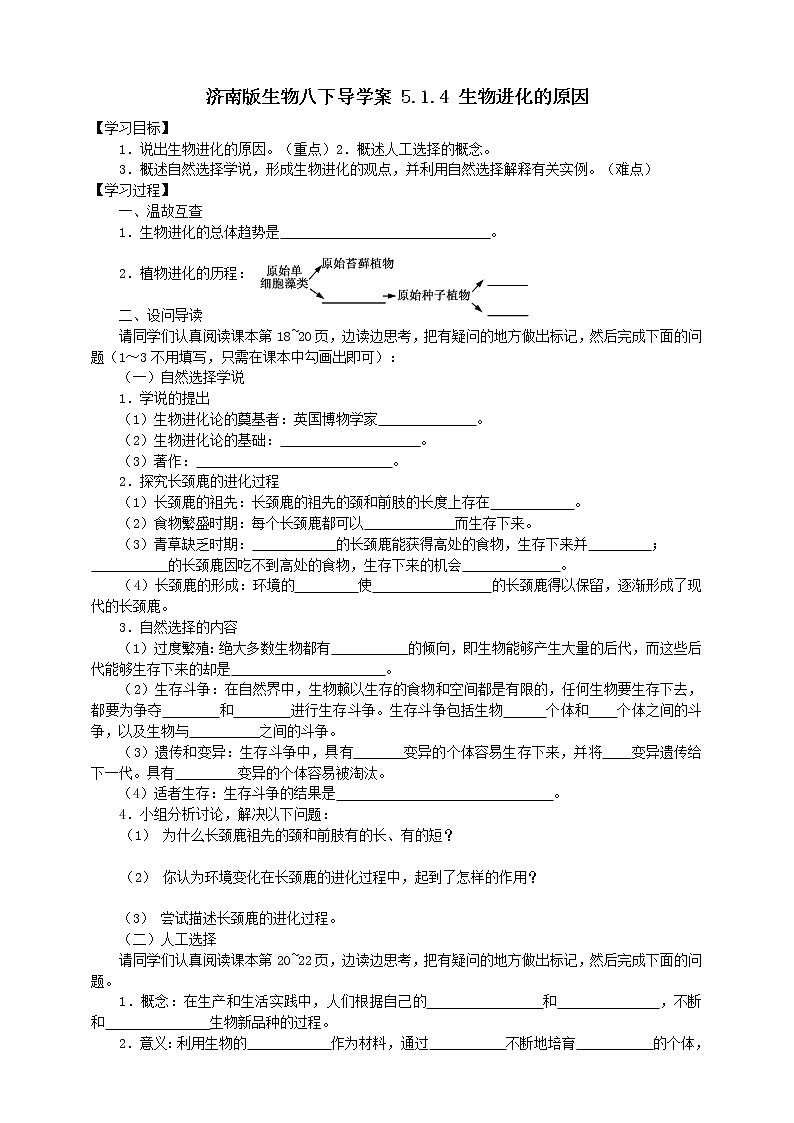 济南版生物八下导学案 5.1.4 生物进化的原因01