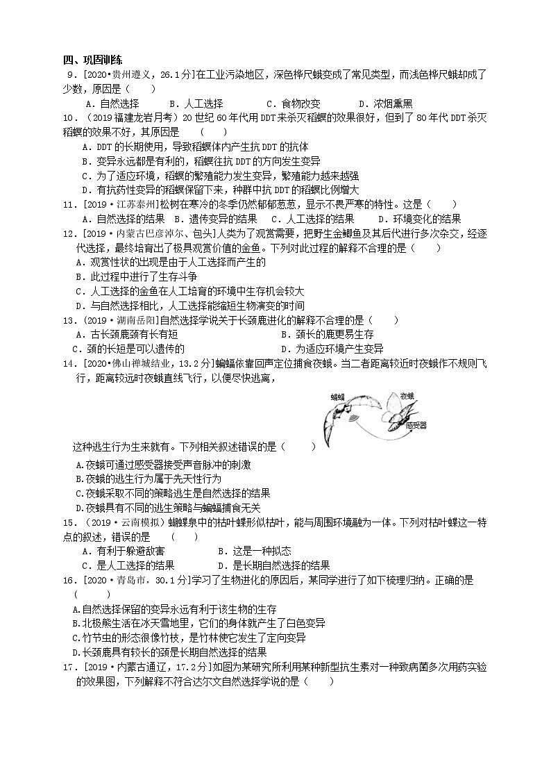济南版生物八下导学案 5.1.4 生物进化的原因03