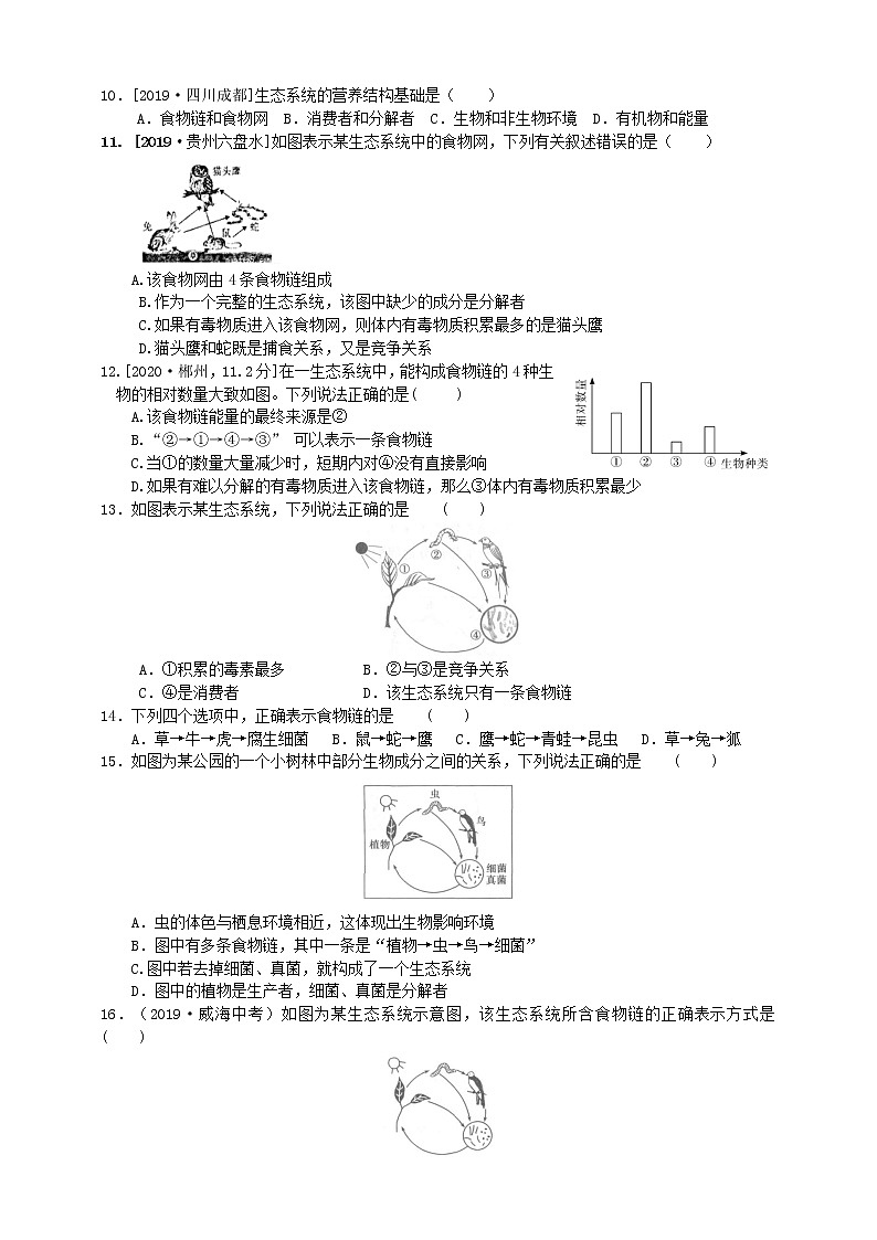 济南版生物八下导学案 6.2.2食物链和食物网03