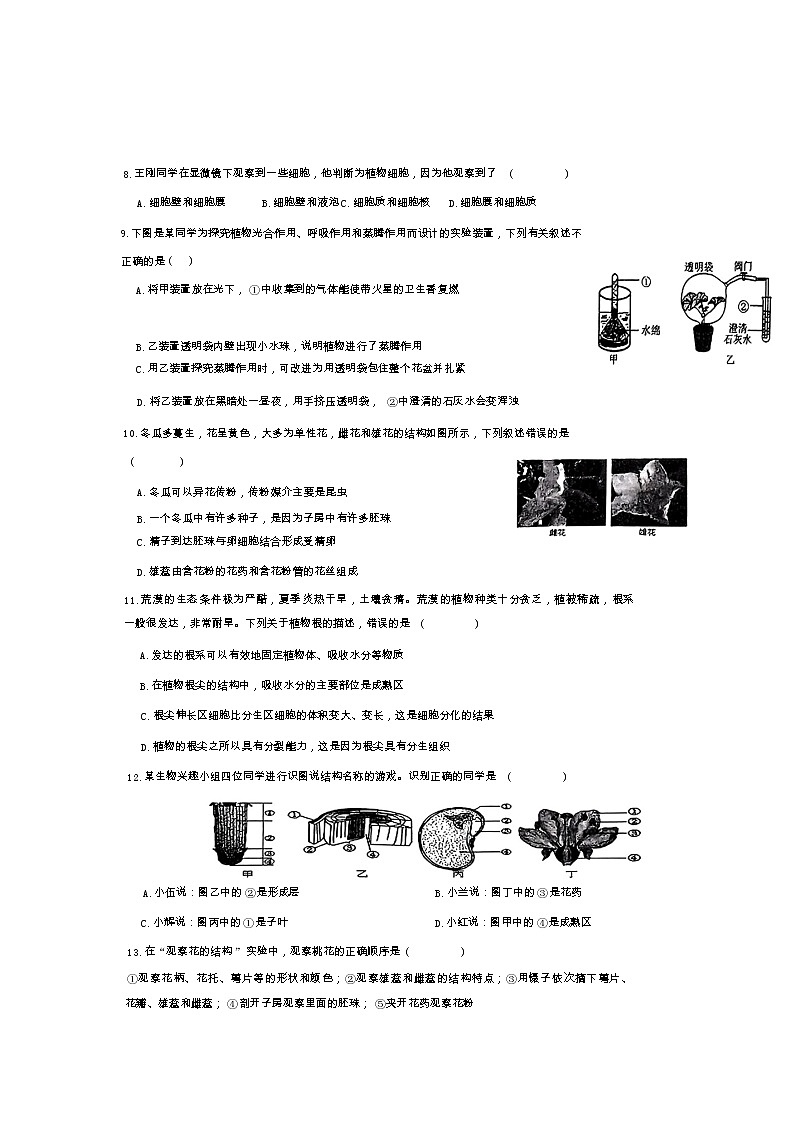 广西崇左市宁明县2022-2023学年七年级上学期期末生物试题03