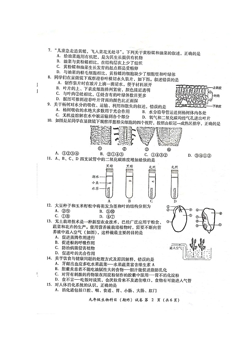 广东省揭阳市榕城区2022-2023学年九年级上学期期末考试生物试题02