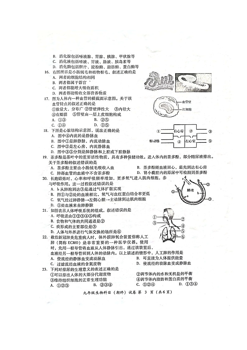 广东省揭阳市榕城区2022-2023学年九年级上学期期末考试生物试题03