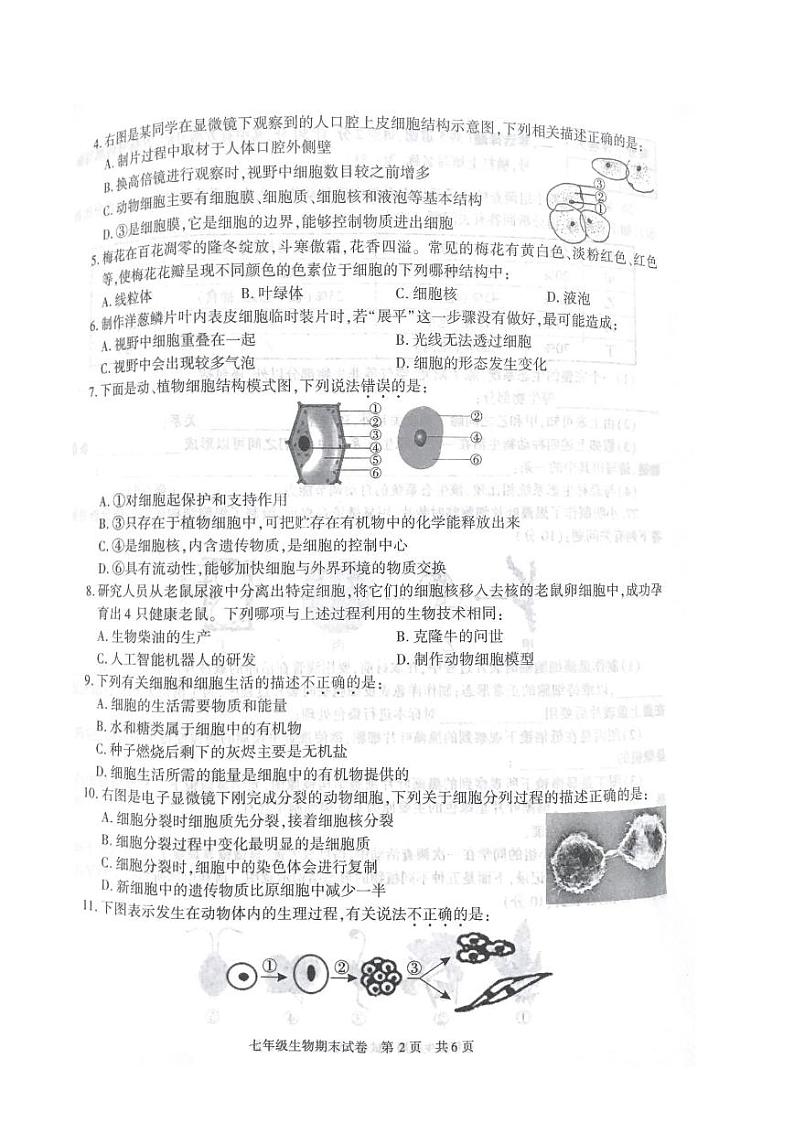 陕西省西安市长安区2022-2023学年七年级上学期期末生物试题第2页