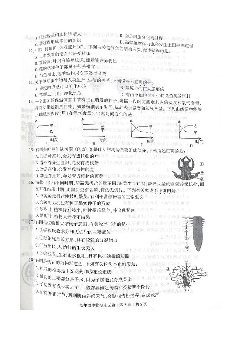 陕西省西安市长安区2022-2023学年七年级上学期期末生物试题第3页
