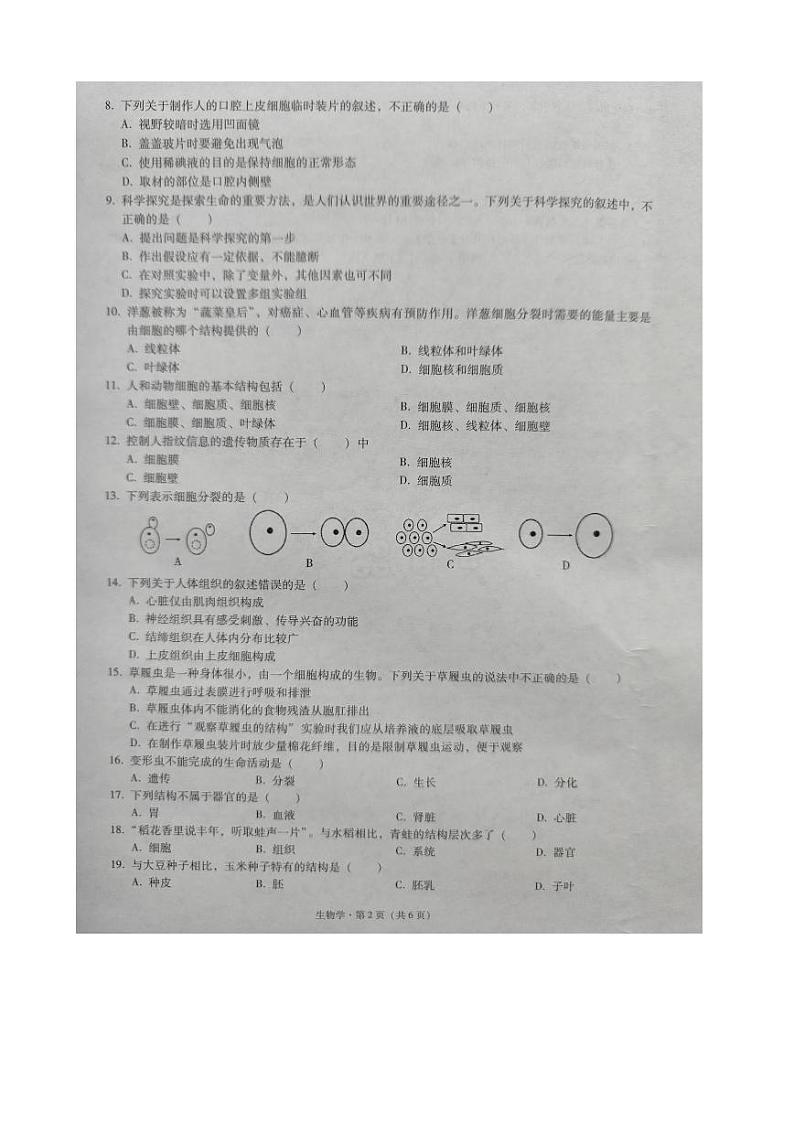 云南省文山州文山市2022-2023学年七年级上学期期末考试生物试题02