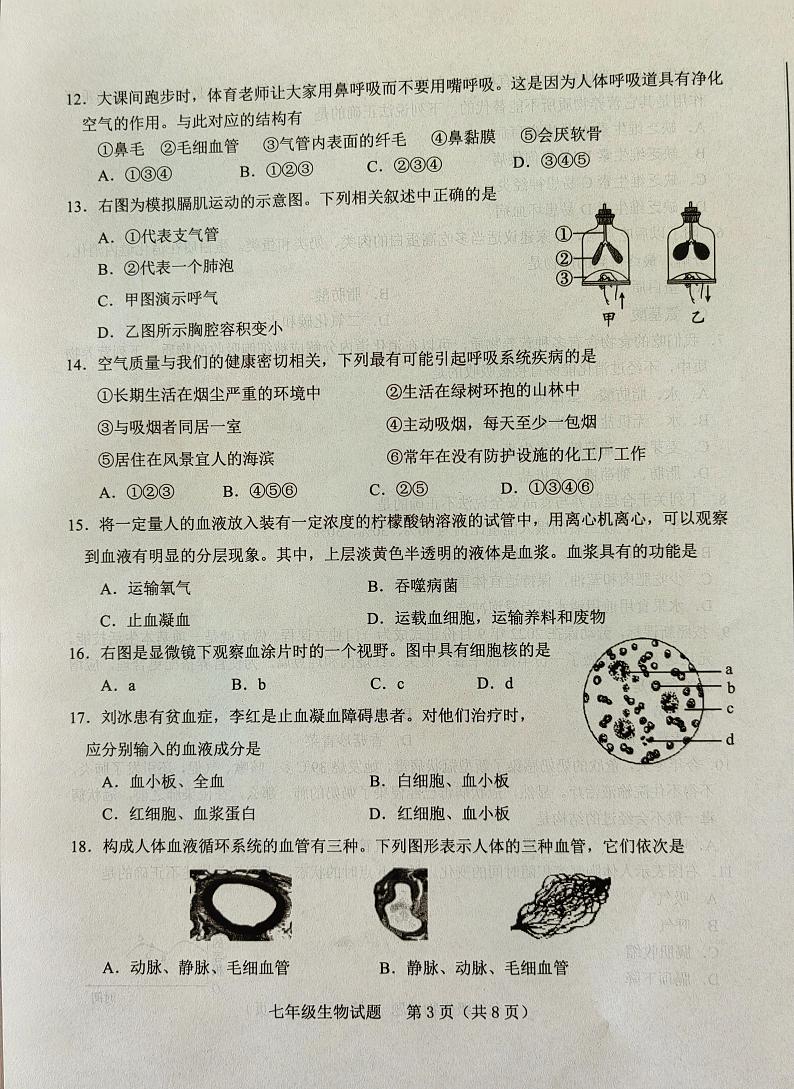 山东省济南市莱芜区（五四制）2022-2023学年七年级上学期期末考试生物试题03