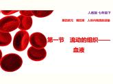 人教版七年级生物下册--4.1 流动的组织——血液（精品课件）
