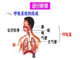 人教版七年级生物下册--4.3.1 呼吸道对空气的处理（课件）