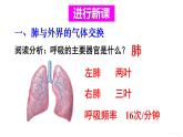 人教版七年级生物下册--4.3.2　发生在肺内的气体交换（课件）