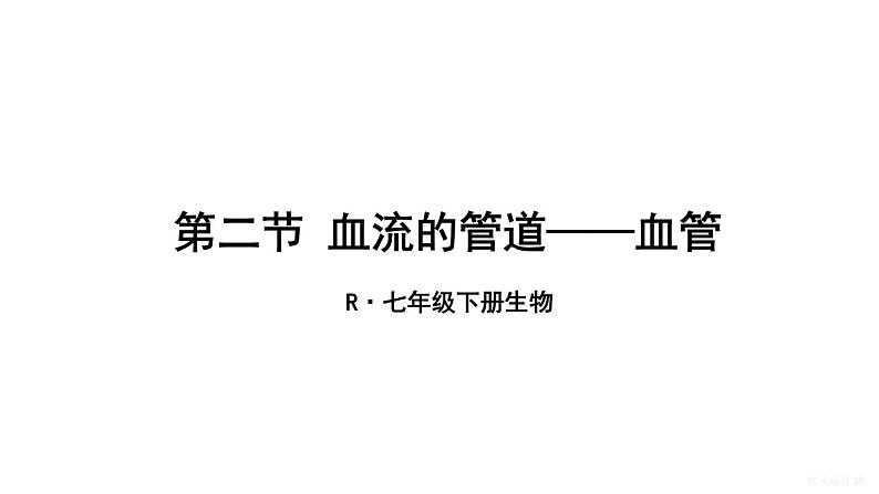 人教版七年级生物下册--4.4.2 血流的管道——血管（课件）01