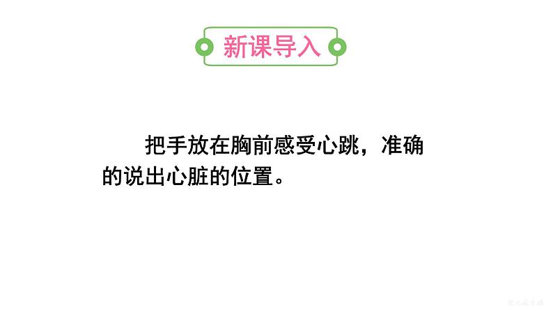 人教版七年级生物下册--4.4.3.1 心脏的结构和功能（课件）第2页