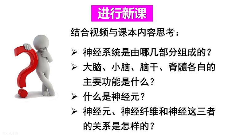 人教版七年级生物下册--4.6.2 神经系统的组成（课件）第2页