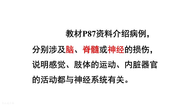 人教版七年级生物下册--4.6.2 神经系统的组成（课件）第3页