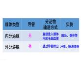 人教版七年级生物下册--4.6.4　 激素调节（课件）