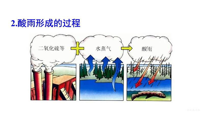 人教版七年级生物下册--4.7.2　探究环境污染对生物的影响（课件）07