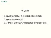 人教版七年级生物下册--6.1人体对外界环境的感知（精品课件）
