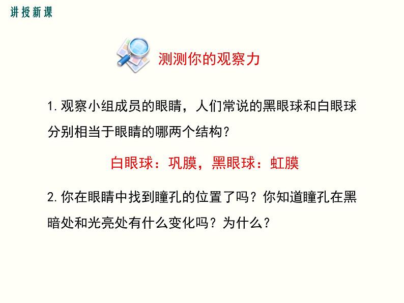 人教版七年级生物下册--6.1人体对外界环境的感知（精品课件）第7页