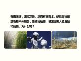 人教版七年级生物下册--7.2  探究环境污染对生物的影响（精品课件）