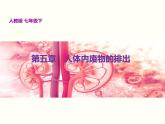 人教版七年级生物下册--第五章 人体内废物的排出（精品课件）