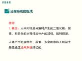 人教版七年级生物下册--第五章 人体内废物的排出（精品课件）