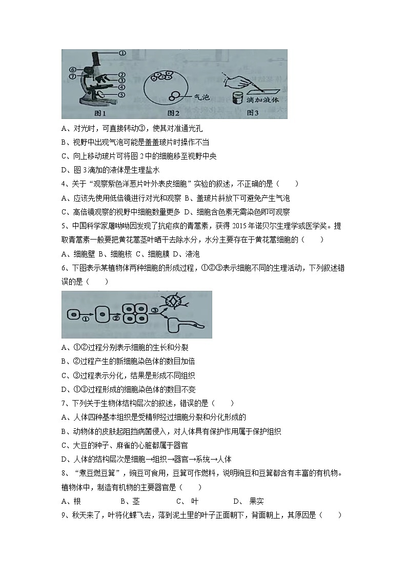 广东省揭阳市惠来县2022-2023学年九年级上学期期末生物试题02
