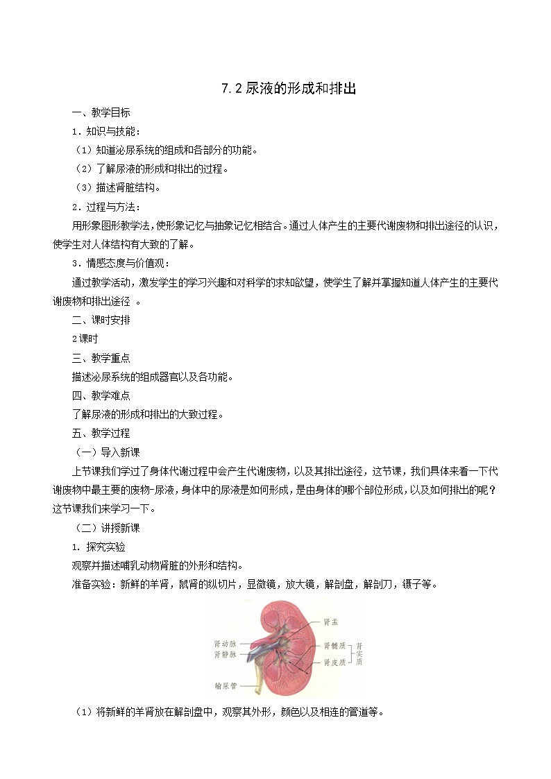 京改版生物七下 7.2尿液的形成和排出 教案01