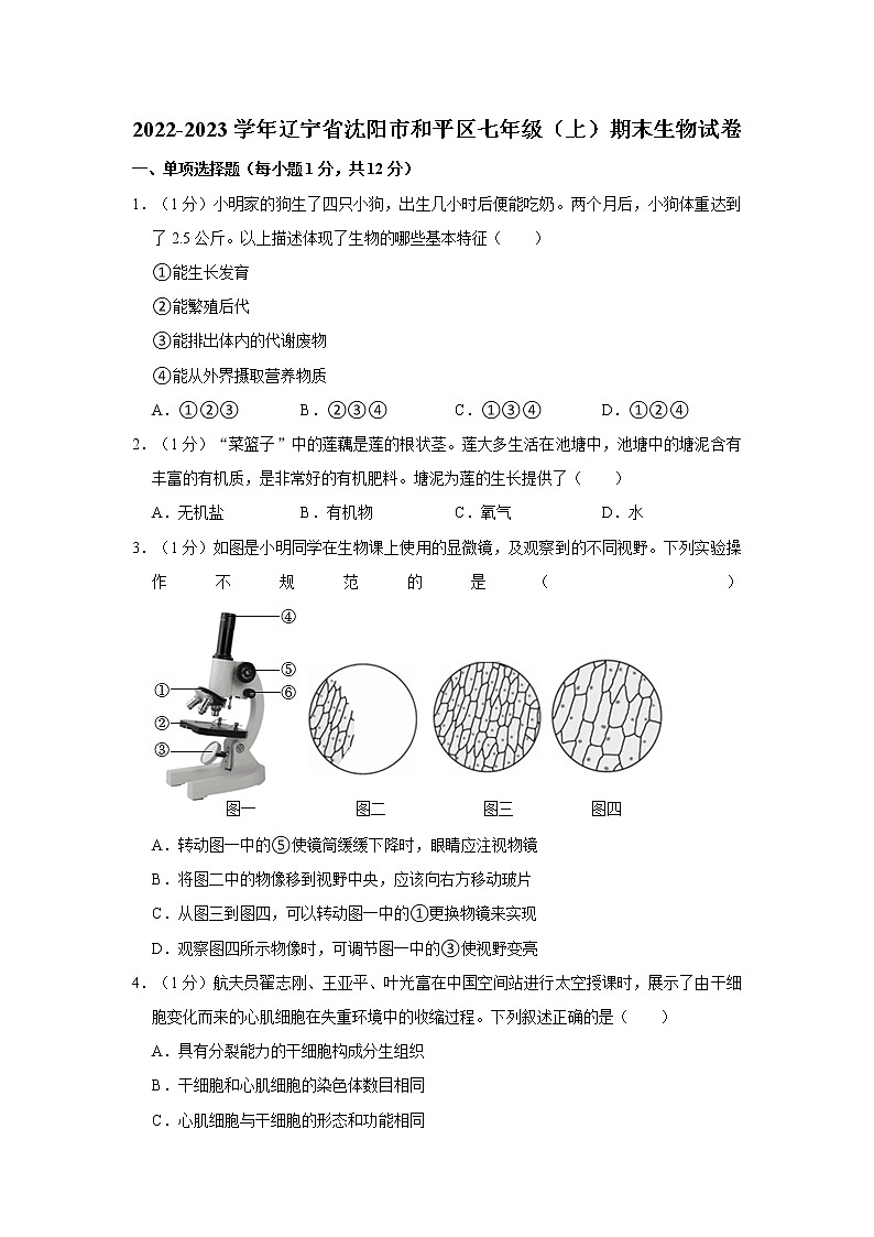 辽宁省沈阳市和平区2022-2023学年七年级上学期期末生物试卷(含答案)01